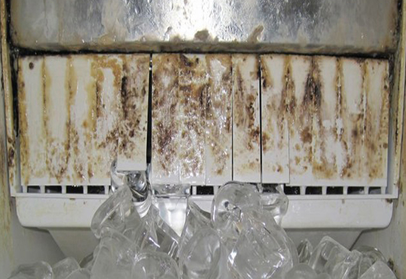 What is growing inside your ice machine?